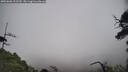 ./images/calvert/fitz-hugh-hecate/20250606/fitz-hugh-hecate20250606_112510M.jpg