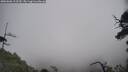 ./images/calvert/fitz-hugh-hecate/20250606/fitz-hugh-hecate20250606_113510M.jpg