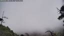 ./images/calvert/fitz-hugh-hecate/20250606/fitz-hugh-hecate20250606_114008M.jpg