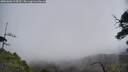 ./images/calvert/fitz-hugh-hecate/20250606/fitz-hugh-hecate20250606_114510M.jpg