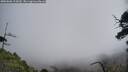 ./images/calvert/fitz-hugh-hecate/20250606/fitz-hugh-hecate20250606_115010M.jpg