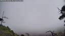 ./images/calvert/fitz-hugh-hecate/20250606/fitz-hugh-hecate20250606_115510M.jpg