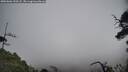 ./images/calvert/fitz-hugh-hecate/20250606/fitz-hugh-hecate20250606_120508M.jpg