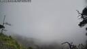 ./images/calvert/fitz-hugh-hecate/20250606/fitz-hugh-hecate20250606_121510M.jpg