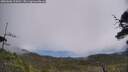 ./images/calvert/fitz-hugh-hecate/20250606/fitz-hugh-hecate20250606_124510M.jpg