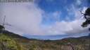 ./images/calvert/fitz-hugh-hecate/20250606/fitz-hugh-hecate20250606_125509M.jpg