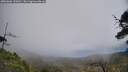 ./images/calvert/fitz-hugh-hecate/20250606/fitz-hugh-hecate20250606_130010M.jpg