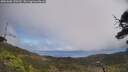 ./images/calvert/fitz-hugh-hecate/20250606/fitz-hugh-hecate20250606_130510M.jpg