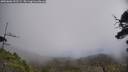 ./images/calvert/fitz-hugh-hecate/20250606/fitz-hugh-hecate20250606_132508M.jpg