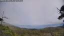 ./images/calvert/fitz-hugh-hecate/20250606/fitz-hugh-hecate20250606_133011M.jpg