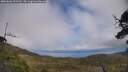 ./images/calvert/fitz-hugh-hecate/20250606/fitz-hugh-hecate20250606_133510M.jpg