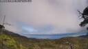./images/calvert/fitz-hugh-hecate/20250606/fitz-hugh-hecate20250606_134010M.jpg