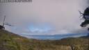 ./images/calvert/fitz-hugh-hecate/20250606/fitz-hugh-hecate20250606_134510M.jpg
