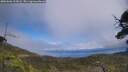 ./images/calvert/fitz-hugh-hecate/20250606/fitz-hugh-hecate20250606_135008M.jpg