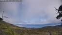 ./images/calvert/fitz-hugh-hecate/20250606/fitz-hugh-hecate20250606_135508M.jpg