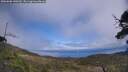 ./images/calvert/fitz-hugh-hecate/20250606/fitz-hugh-hecate20250606_140510M.jpg