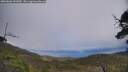 ./images/calvert/fitz-hugh-hecate/20250606/fitz-hugh-hecate20250606_141010M.jpg