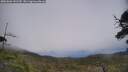 ./images/calvert/fitz-hugh-hecate/20250606/fitz-hugh-hecate20250606_141509M.jpg