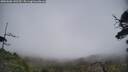 ./images/calvert/fitz-hugh-hecate/20250606/fitz-hugh-hecate20250606_142510M.jpg