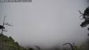 ./images/calvert/fitz-hugh-hecate/20250606/fitz-hugh-hecate20250606_143509M.jpg