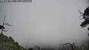 ./images/calvert/fitz-hugh-hecate/20250606/fitz-hugh-hecate20250606_144008M.jpg