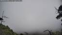 ./images/calvert/fitz-hugh-hecate/20250606/fitz-hugh-hecate20250606_150509M.jpg