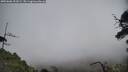 ./images/calvert/fitz-hugh-hecate/20250606/fitz-hugh-hecate20250606_151009M.jpg