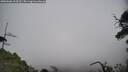 ./images/calvert/fitz-hugh-hecate/20250606/fitz-hugh-hecate20250606_154510M.jpg