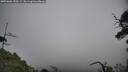 ./images/calvert/fitz-hugh-hecate/20250606/fitz-hugh-hecate20250606_155509M.jpg