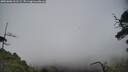 ./images/calvert/fitz-hugh-hecate/20250606/fitz-hugh-hecate20250606_161509M.jpg