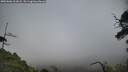./images/calvert/fitz-hugh-hecate/20250606/fitz-hugh-hecate20250606_162008M.jpg