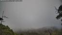 ./images/calvert/fitz-hugh-hecate/20250606/fitz-hugh-hecate20250606_162509M.jpg