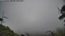 ./images/calvert/fitz-hugh-hecate/20250606/fitz-hugh-hecate20250606_163010M.jpg