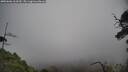 ./images/calvert/fitz-hugh-hecate/20250606/fitz-hugh-hecate20250606_163509M.jpg