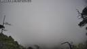 ./images/calvert/fitz-hugh-hecate/20250606/fitz-hugh-hecate20250606_164009M.jpg