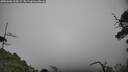 ./images/calvert/fitz-hugh-hecate/20250606/fitz-hugh-hecate20250606_165009M.jpg