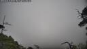 ./images/calvert/fitz-hugh-hecate/20250606/fitz-hugh-hecate20250606_165510M.jpg