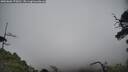 ./images/calvert/fitz-hugh-hecate/20250606/fitz-hugh-hecate20250606_170010M.jpg