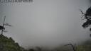./images/calvert/fitz-hugh-hecate/20250606/fitz-hugh-hecate20250606_170509M.jpg
