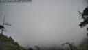 ./images/calvert/fitz-hugh-hecate/20250606/fitz-hugh-hecate20250606_171009M.jpg