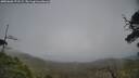 ./images/calvert/fitz-hugh-hecate/20250606/fitz-hugh-hecate20250606_171508M.jpg