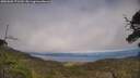 ./images/calvert/fitz-hugh-hecate/20250606/fitz-hugh-hecate20250606_172510M.jpg