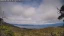 ./images/calvert/fitz-hugh-hecate/20250606/fitz-hugh-hecate20250606_173508M.jpg