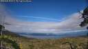 ./images/calvert/fitz-hugh-hecate/20250606/fitz-hugh-hecate20250606_181009M.jpg