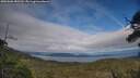 ./images/calvert/fitz-hugh-hecate/20250606/fitz-hugh-hecate20250606_182509M.jpg