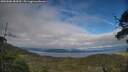 ./images/calvert/fitz-hugh-hecate/20250606/fitz-hugh-hecate20250606_184510M.jpg