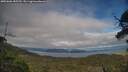 ./images/calvert/fitz-hugh-hecate/20250606/fitz-hugh-hecate20250606_185510M.jpg