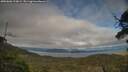 ./images/calvert/fitz-hugh-hecate/20250606/fitz-hugh-hecate20250606_190008M.jpg