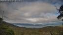 ./images/calvert/fitz-hugh-hecate/20250606/fitz-hugh-hecate20250606_191008M.jpg