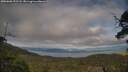 ./images/calvert/fitz-hugh-hecate/20250606/fitz-hugh-hecate20250606_191508M.jpg